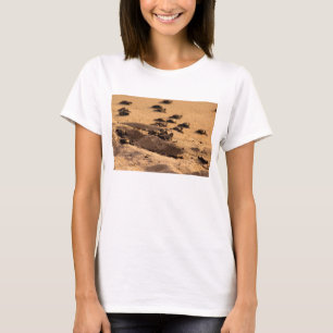 Camiseta Tartarugas de mar
