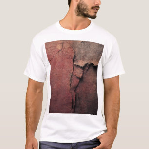 Camiseta Tattered Canvas Abstract in Rust and Earth