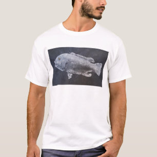 Camiseta Tautog