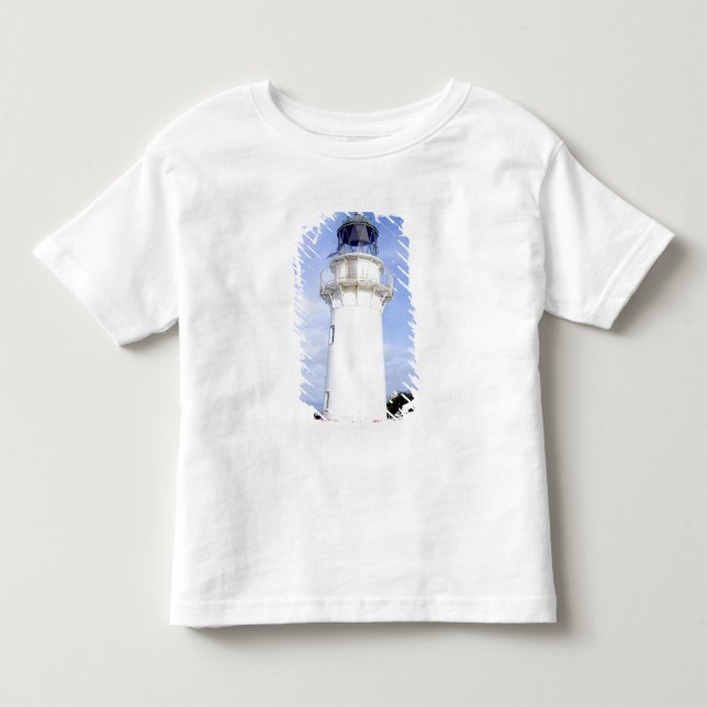Camiseta Te Araroa, Nova Zelândia. Um farol dá (Frente)