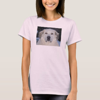 Camiseta Tee dos Pirenéus excelentes