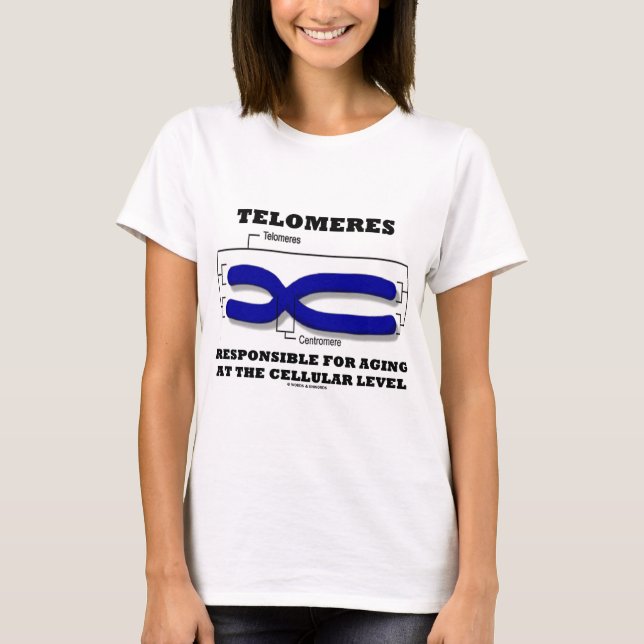 Camiseta Telomeres responsável para envelhecer a nível (Frente)