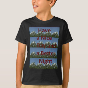 Camiseta Tenha um bom dia.png