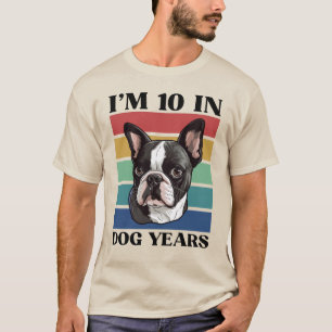 Camiseta Tenho 10 anos em cães, 70 Aniversário Boston Terri