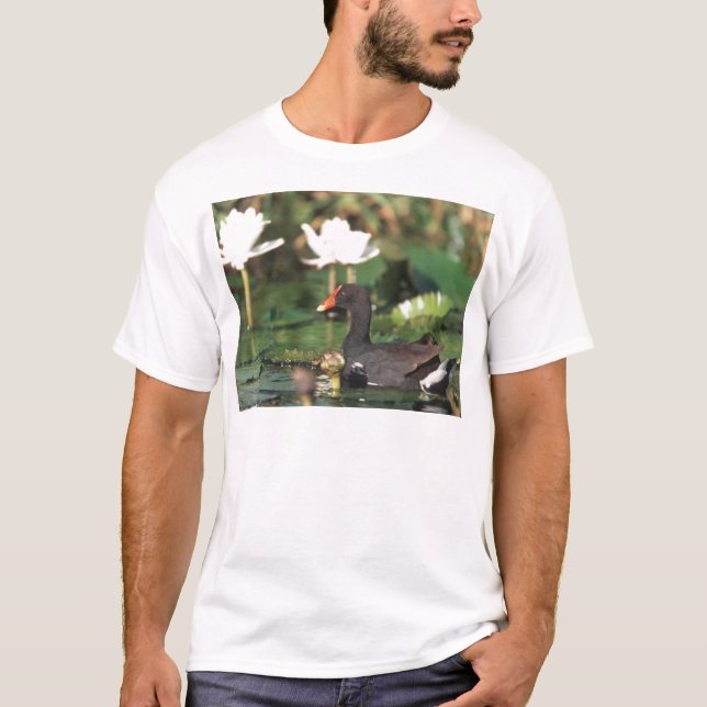 Camiseta Terra comum Moorhead do Hawaiian (Frente)