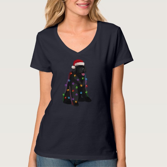 Camiseta Terra Nova - Luz de Natal - Sobremesa de Natal (Frente)