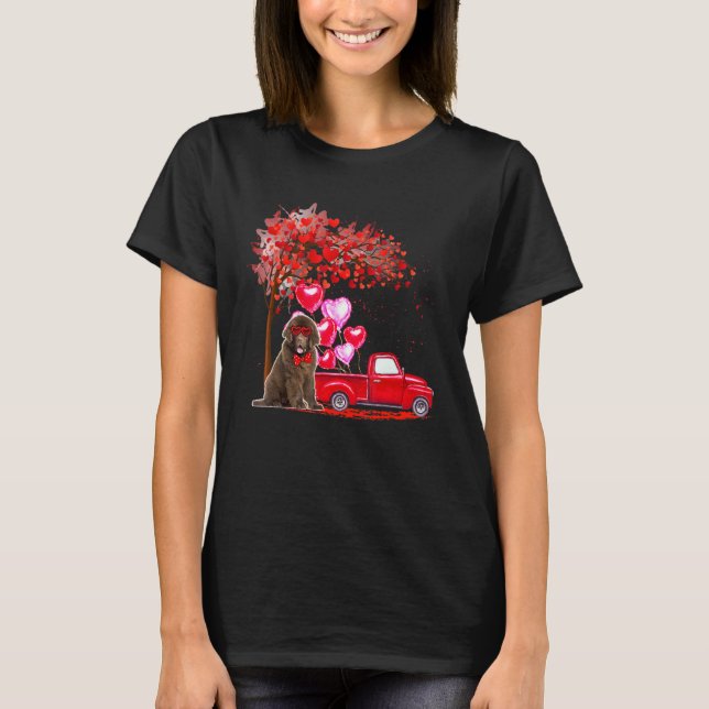 Camiseta Terra Nova Óculos de sol Coração Caminhão C (Frente)