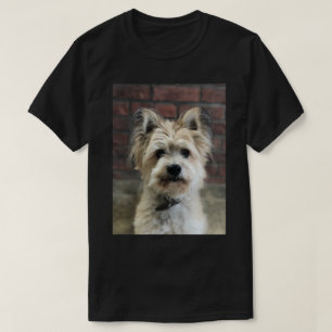 Camiseta Terrier Dog Photo Personalize Cotton
