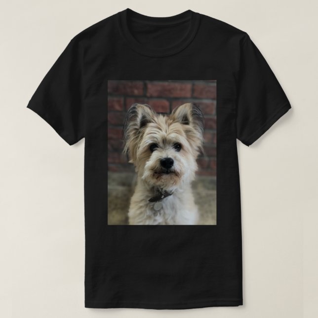 Camiseta Terrier Dog Photo Personalize Cotton (Frente do Design)