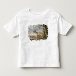Camiseta Terrier em um trajeto em uma paisagem arborizada