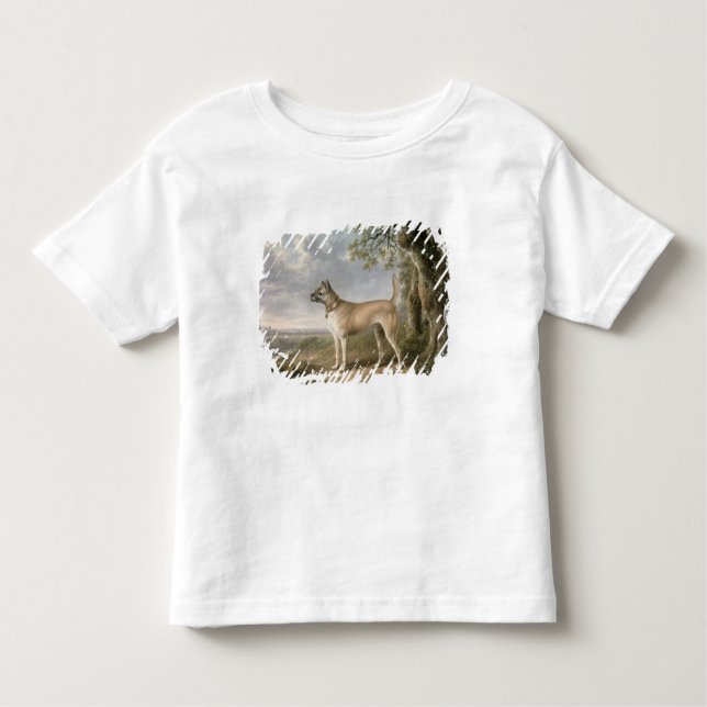 Camiseta Terrier em um trajeto em uma paisagem arborizada (Frente)