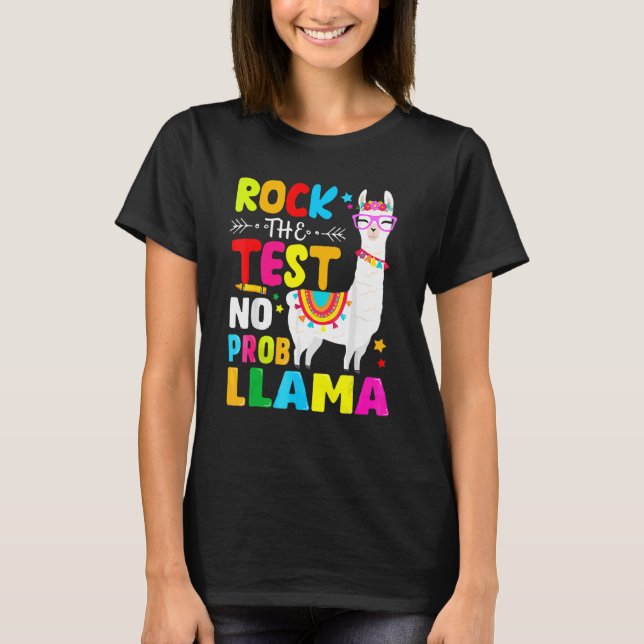 Camiseta Teste do Dia Rock O Teste sem Prob Lama (Frente)