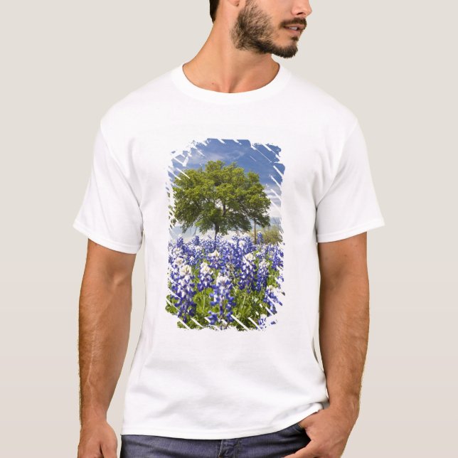 Camiseta Texas bluebonnets(lupinus texensis) e carvalho (Frente)