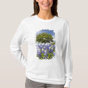 Camiseta Texas bluebonnets(lupinus texensis) e carvalho