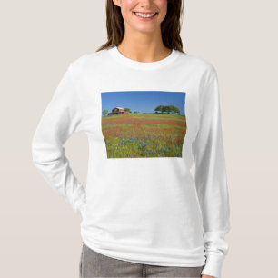 Camiseta Texas, Texas Hill Country, pincel texano