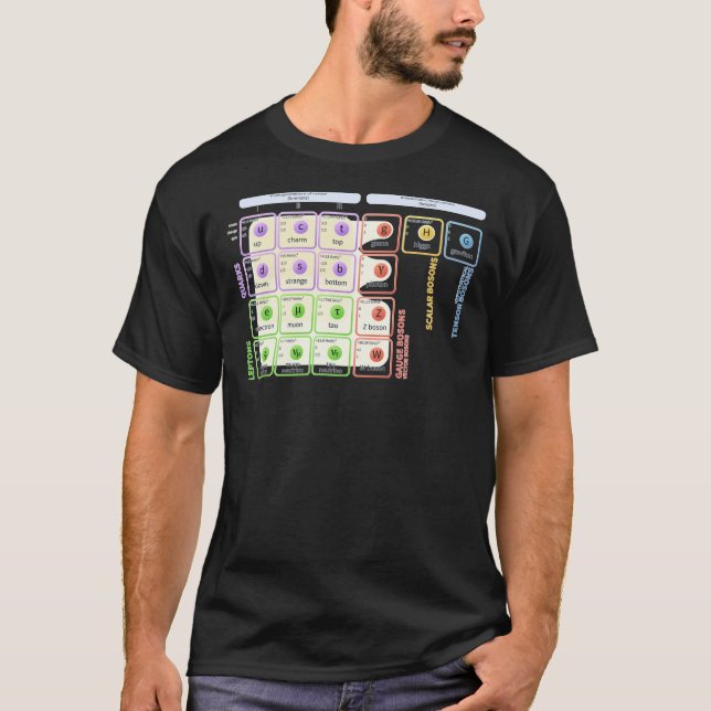 Camiseta The Standard Model Of Particle Physics (Frente)