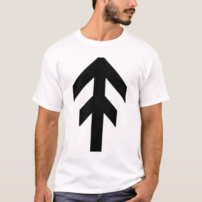 Camiseta The World Domination Rune (preto) (Frente)
