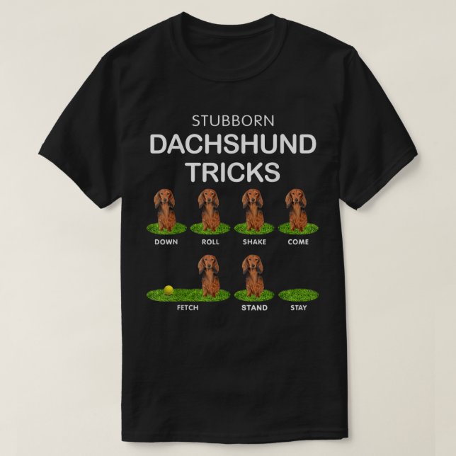 Camiseta Thick Headed Dog - Funny Long Hair Dachshund for C (Frente do Design)