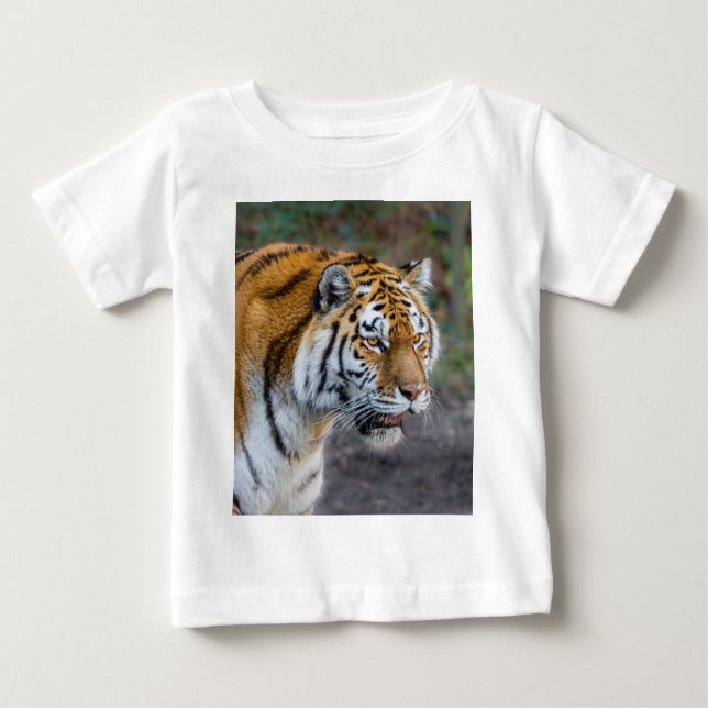 Camiseta Tíger Amur (Frente)