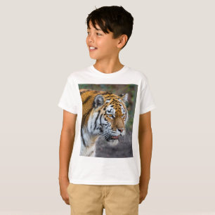Camiseta Tíger Amur