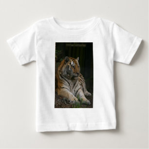 Camiseta Tiger Baby Bodydress