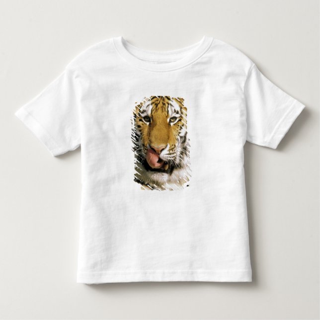 Camiseta Tiger Michigan Zoo (Frente)