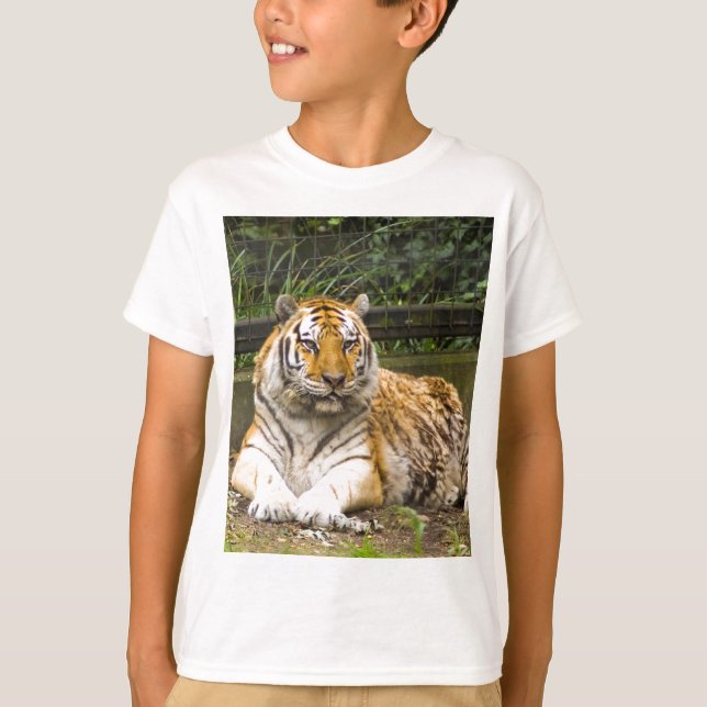 Camiseta Tigre (Frente)