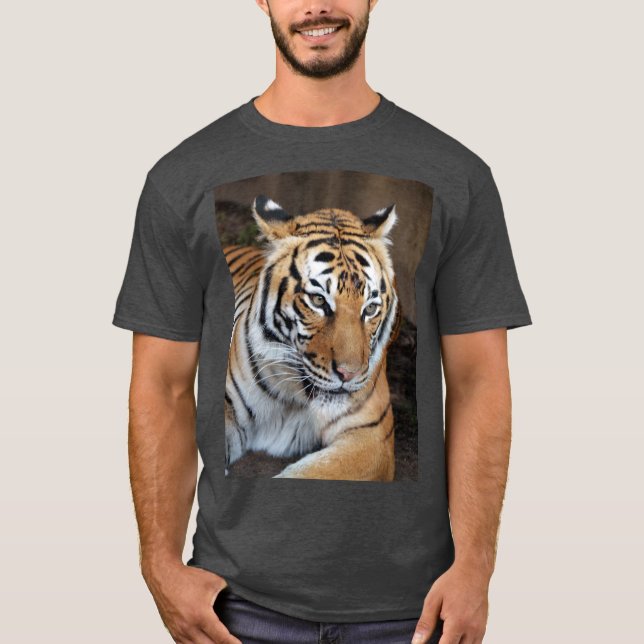 Camiseta Tigre (Frente)
