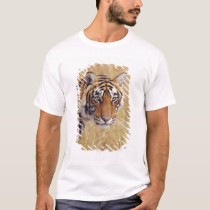 Camiseta Tigre de Bengal real que olha do