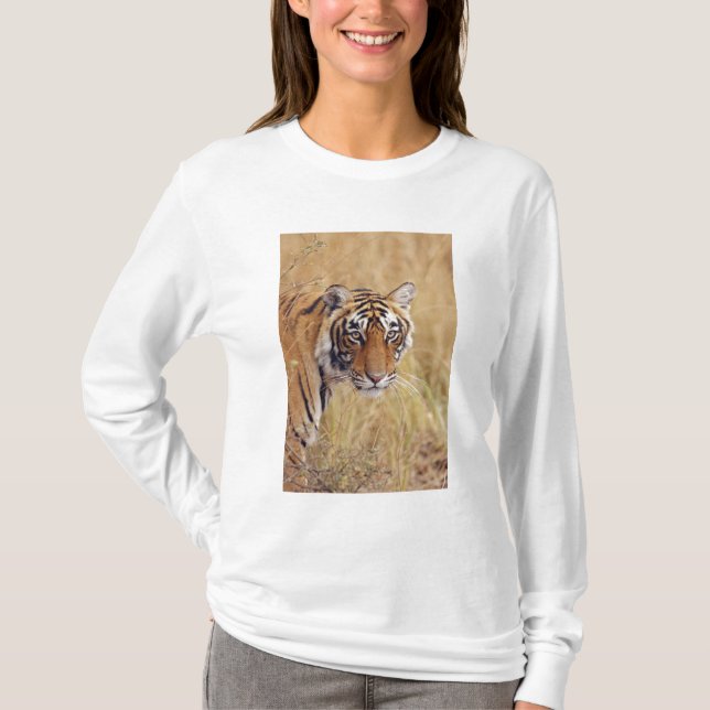 Camiseta Tigre-de-bengala-real (Frente)