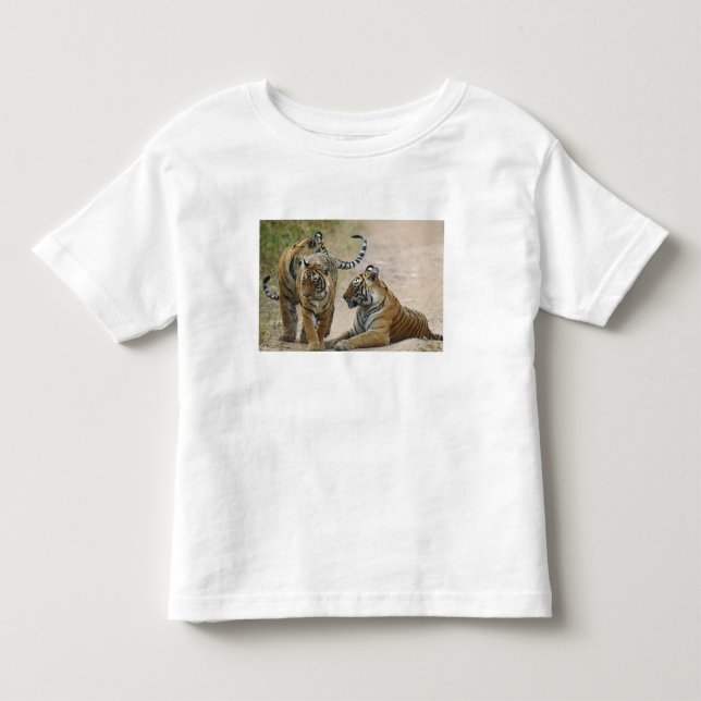 Camiseta Tigre-de-bengala-real e filhotes, Ranthambhor (Frente)