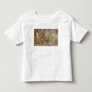 Camiseta Tigre-de-bengala-real subindo na árvore,