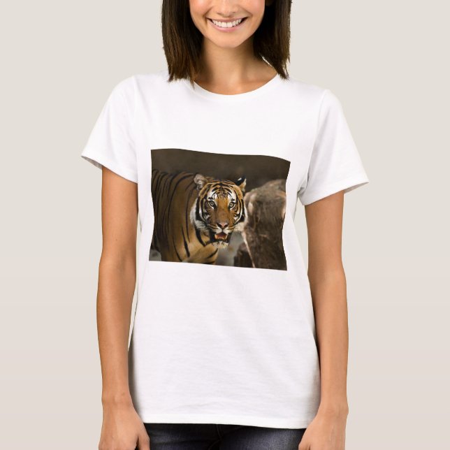 Camiseta Tigre Siberiano (Frente)