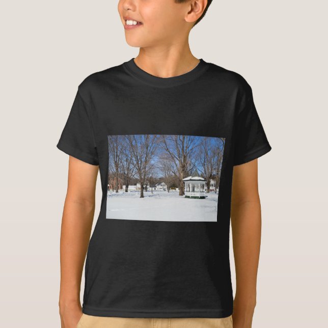 Camiseta Típica Cidade de Vermont no Inverno (Frente)