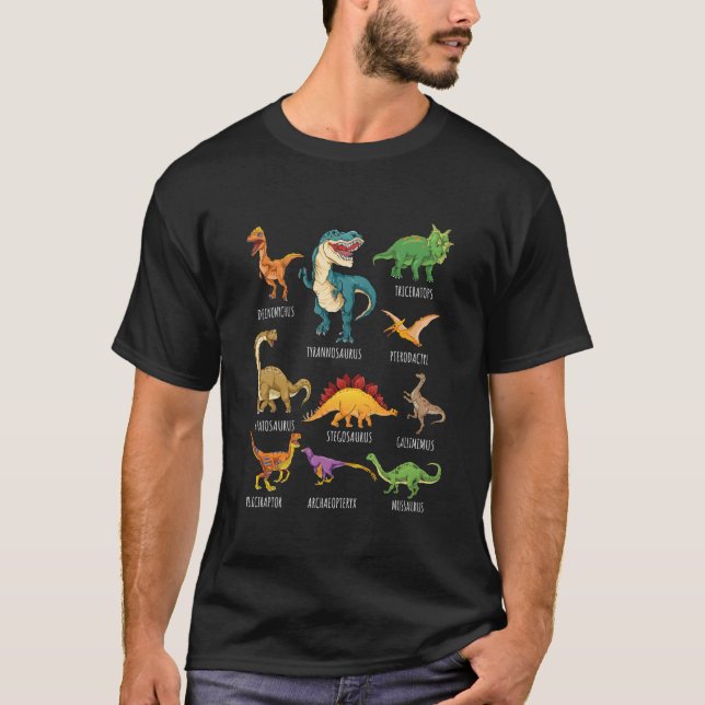 Camiseta Tipos De Dinossauros S Identificação De Dino (Frente)
