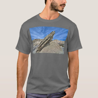 Camiseta Toadstool Geological Park 1