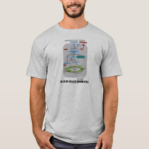 Camiseta Todas minhas pilhas atravessam um ciclo (a