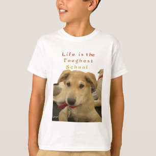 Camiseta Todos os Cachorros Têm o iTS DAY Hakuna Matata Dia