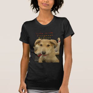 Camiseta Todos os Cachorros Têm o iTS DAY Hakuna Matata Dia