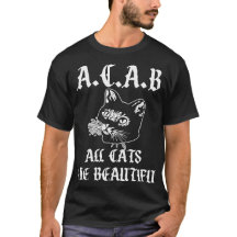 Todos os gatos lindos