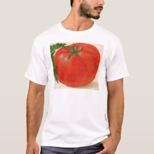 Camiseta Tomate excelente BIG suculento