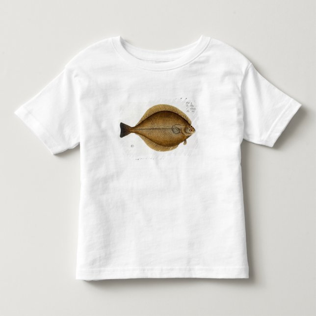 Camiseta Toque (a placa XLVI do Limanda do Pleuronectes) (Frente)