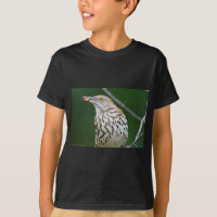 Tordo-castanho c/ Roupas de Presentes do Dia