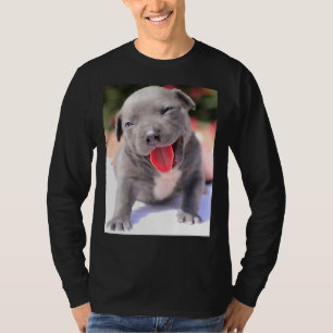 Camiseta Torneira de Touro Cuja Fenda