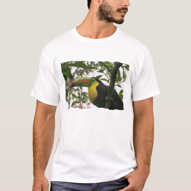 Camiseta Toucan na selva (Frente)