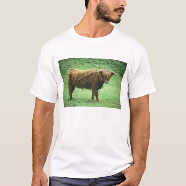 Camiseta Touro das Terras Altas, Ilha de Mull, Interior (Frente)