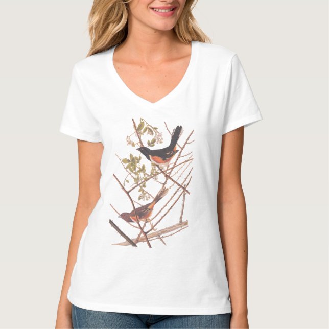 Camiseta Toweting Audubon Black and Orange Song Birds (Frente)