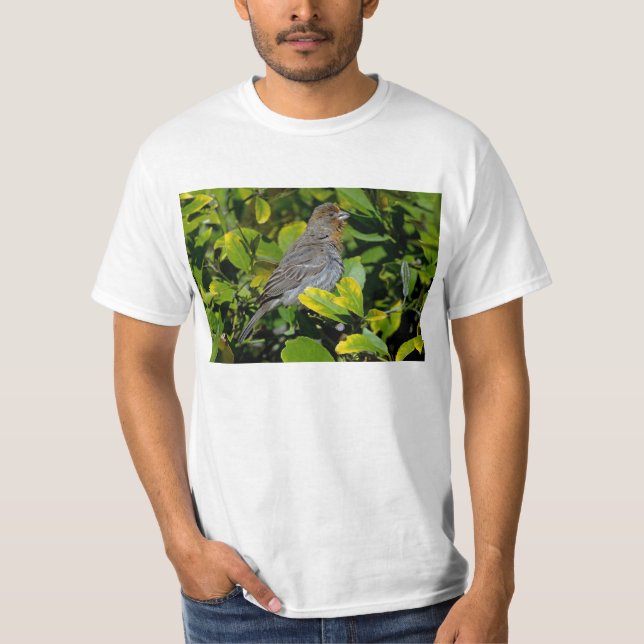 Camiseta Towhee de Califórnia (Frente)