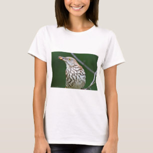 Camiseta Traseiro Marrom com Roupa de Presente do Dia