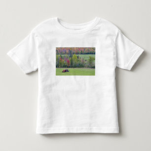 Camiseta Trator com fardo de feno em campo verde com